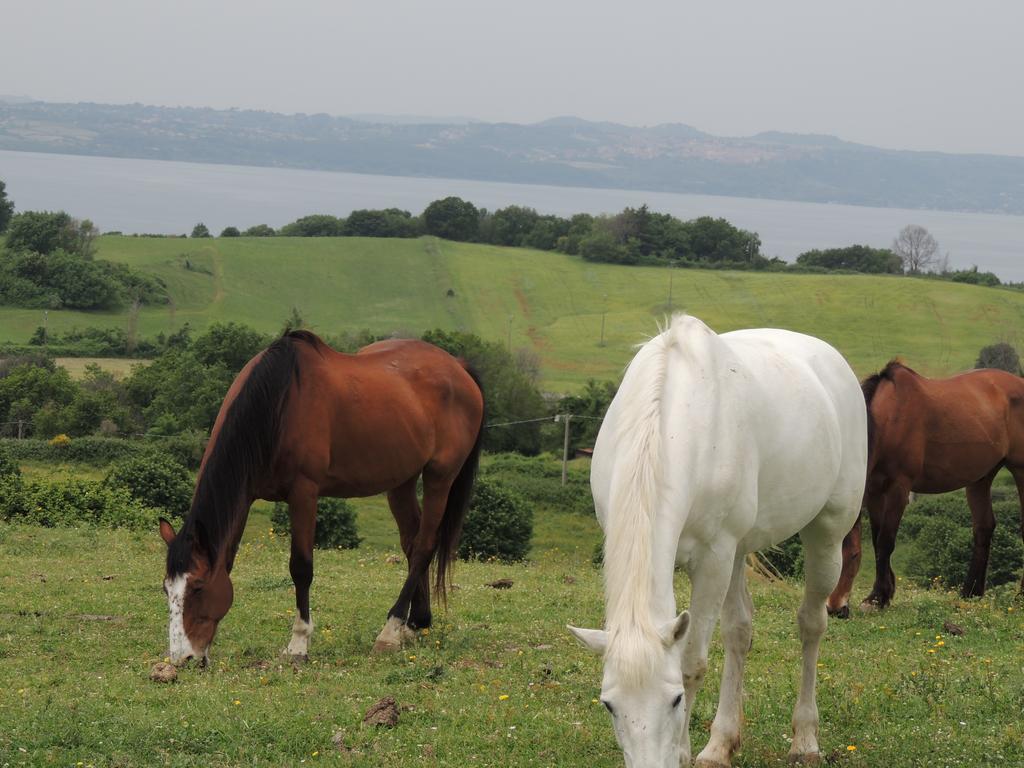 Country Relais I Due Laghi Βίλα Anguillara Sabazia Εξωτερικό φωτογραφία