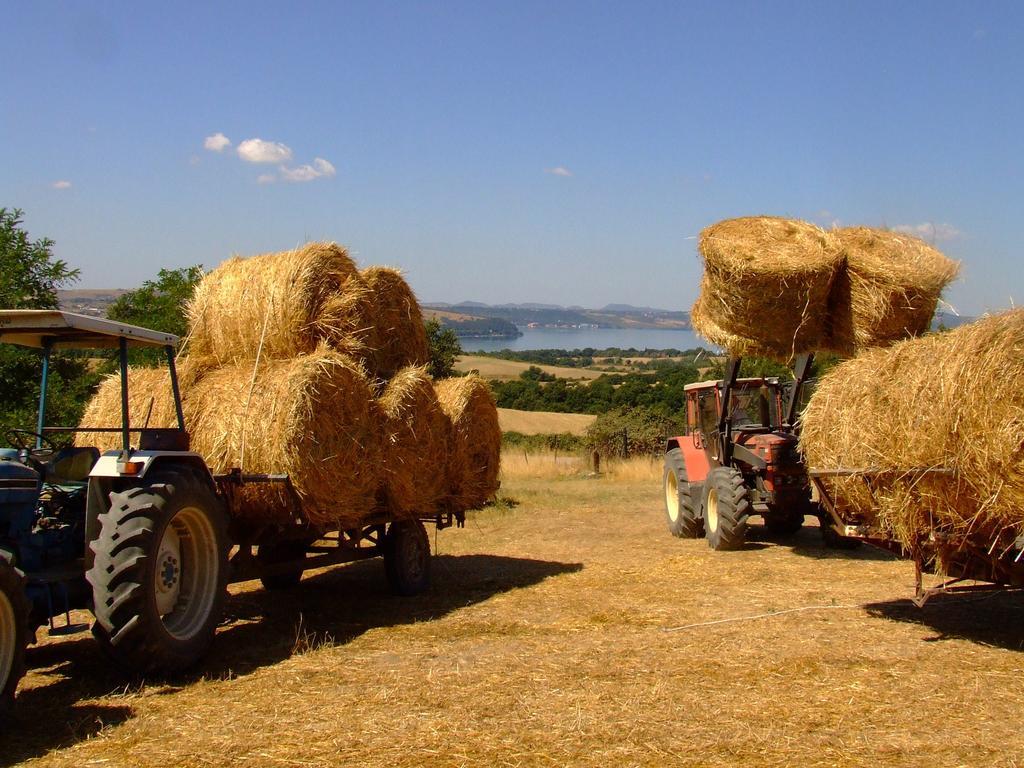 Country Relais I Due Laghi Βίλα Anguillara Sabazia Εξωτερικό φωτογραφία